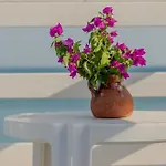 Casa Miramare * Mattinata